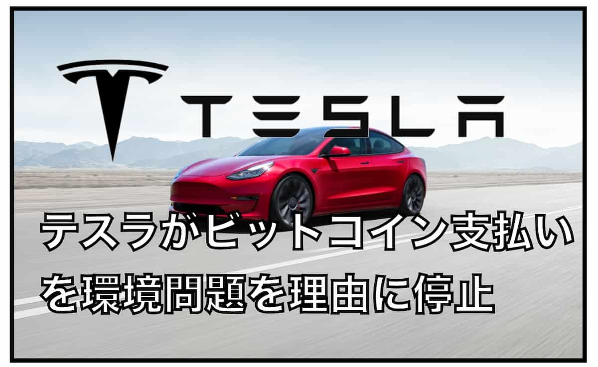 テスラがビットコイン支払いを環境問題を理由に中止〜次の有力仮想通貨通貨はどれか？｜暗号資産（仮想通貨）の将来の可能性〜初心者からの運用方法